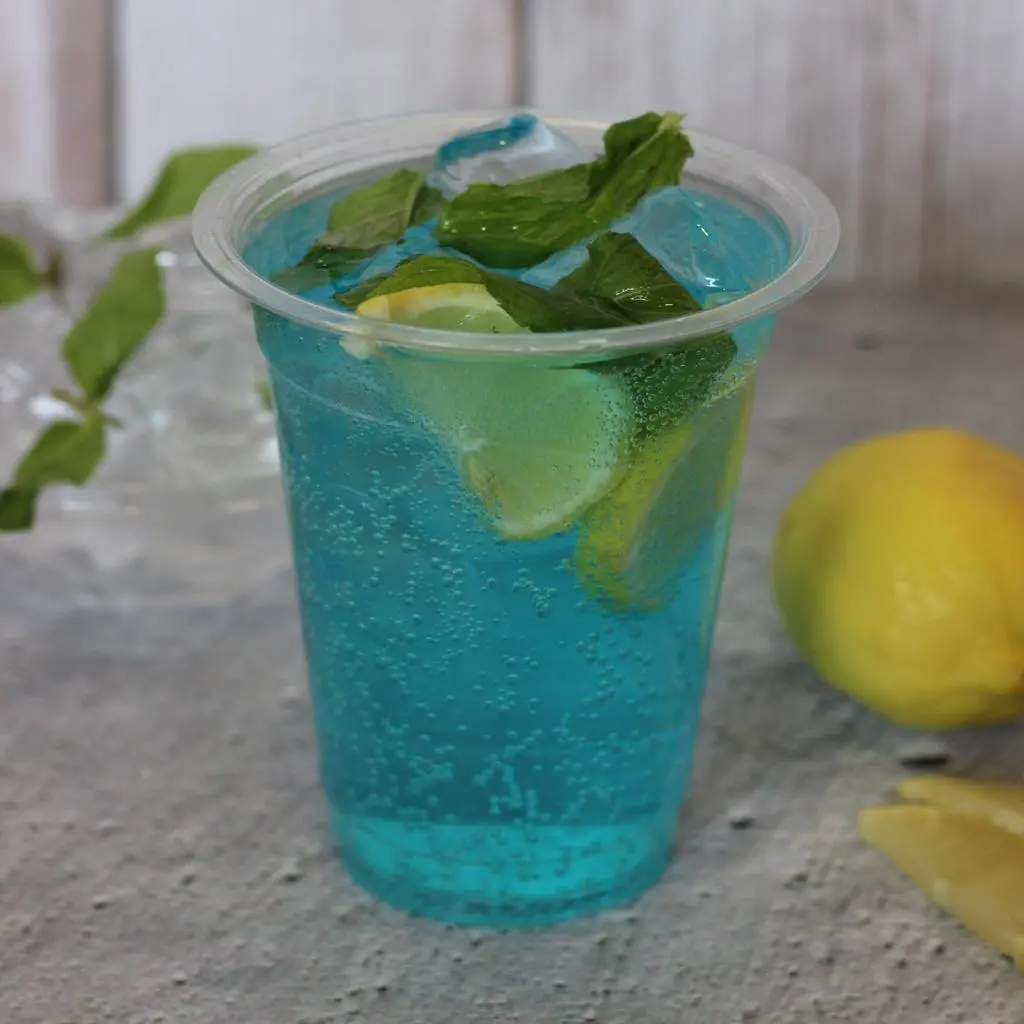 Blueberry Mojito